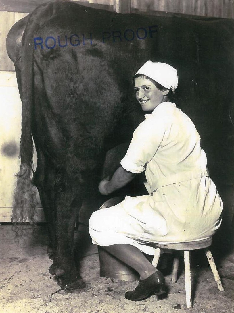 Dairy_maid_milking_cow